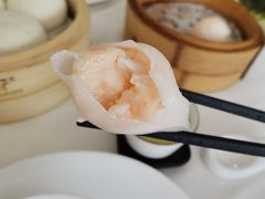 南迎虾饺王-南海迎宾馆·经典南海菜