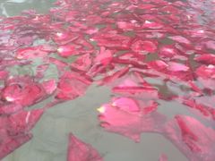 -天目湖涵田半山温泉