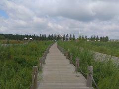 -呼兰河口湿地公园