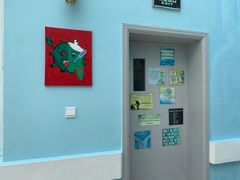 -中加枫华国际学校