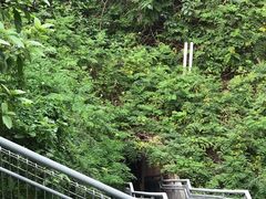 -佛山华盖山公园