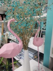 -斐尔国际皮肤管理中心