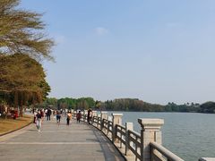 -海珠湖公园