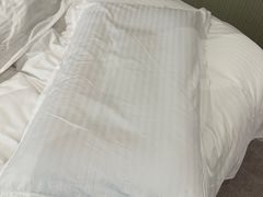 -南京钟山宾馆(江苏省会议中心)