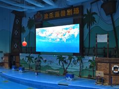-石家庄极地海洋世界