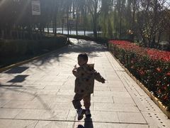 -西安汉城湖景区