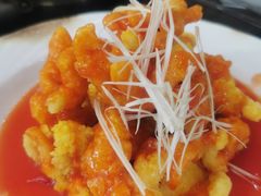 菊花兔-丁月玉兔王(大渡口店)