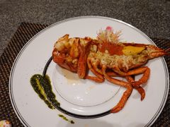铁板波士顿龙虾-田舍家Inakaya(天汇igc店)
