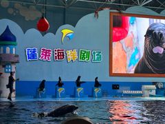 -蓬莱欧乐堡海洋极地世界