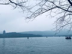 -西湖外事游船(花港观鱼码头)