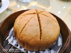 古绵黄糖马拉糕-和乐喜点(宝岗大道店)