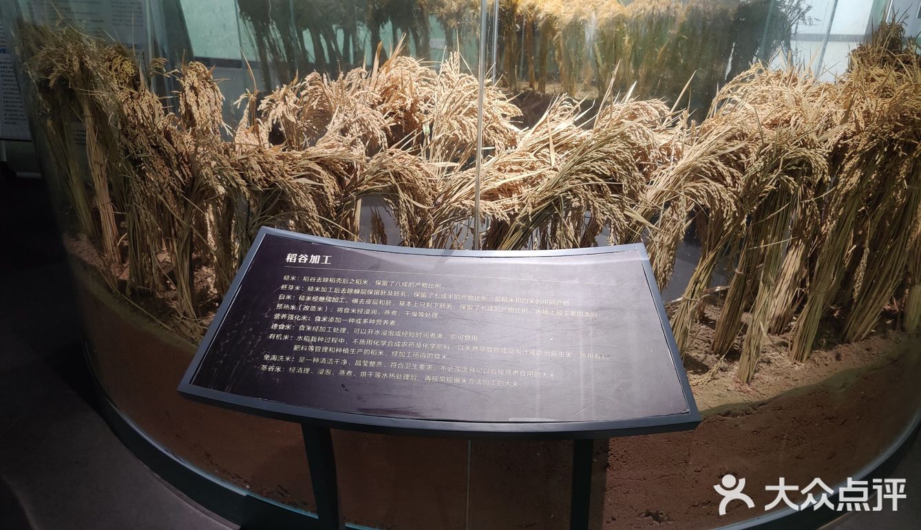 河源市东源县博物馆