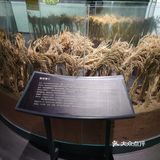 河源市东源县博物馆