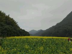 -广州市石门国家森林公园