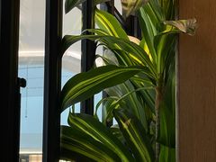-同仁四季椰子鸡(无锡滨湖万象汇店)