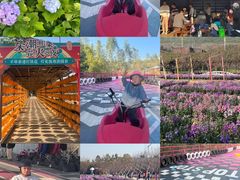 -盈香心动乐园