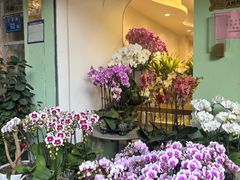 -溪岸路花鸟市场