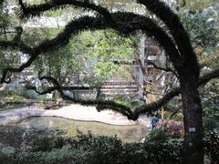 -香港大学