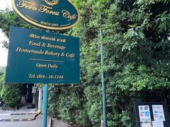 -Fern Forest Cafe