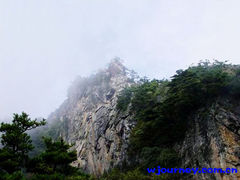 -王顺山国家森林公园