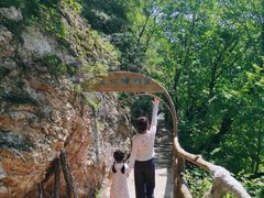 -天女山森林公园