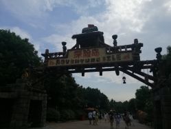 -翱翔飞越地平线