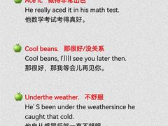 -引领英语·成人口语·雅思托福
