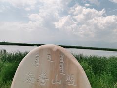 -哈素海