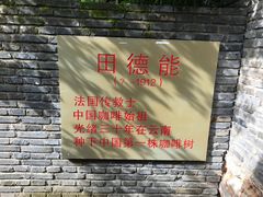 -田德能咖啡博物馆