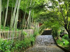 -宁波浙东大竹海景区