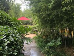 -西安国际创新人才交流中心•药浴温泉