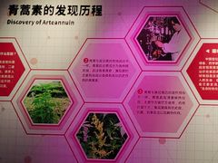 -东莞市科学技术博物馆