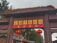 -北海金海湾红树林生态旅游区