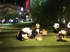 -成都泰迪熊博物馆