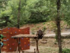 -蟠龙山长城景区