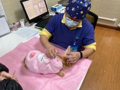 -北京观赏动物医院·24小时大型综合·猫专科·异宠专科