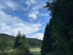 -武陵山森林公园
