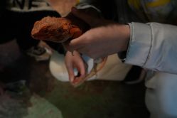 -酷嗒动物文化乐园(cutezoo西溪乐天城店)