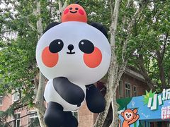 -西安电影制片厂