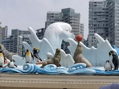 -海合安成都极地海洋公园