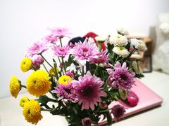 -双季花艺园艺市场(浦东店)