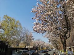 -天津五大道文化旅游区