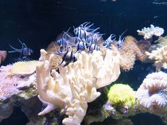 -南昌海洋公园