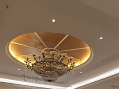 -锦粤宫·精致粤菜(深圳北站店)