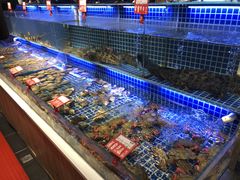 水产区-必点海鲜·鲅鱼水饺(鞍山西道店)