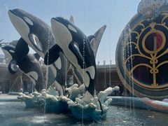 -上海海昌海洋公园