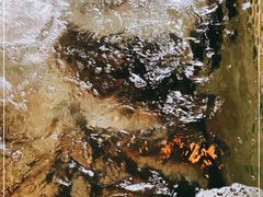 -荣德灶台鱼(圣泉寺店)