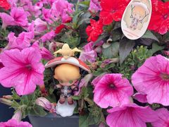 -上海植物园-4号门售票处