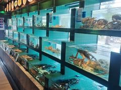 -燃燃小黄鱼(隆昌店)