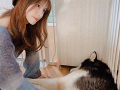 -Husky Go! 哈士奇体验馆·宠物咖啡厅狗咖